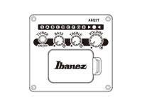 Ibanez AEGB420 Black Out Ibanez AEGB420 Black Out